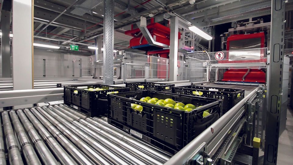 Automated conveyor line at an IFCO facility sorting reusable packaging containers (RPCs) filled with fresh produce